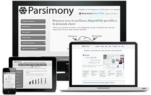 Parsimony Responsive Design Parsimony Responsive Design