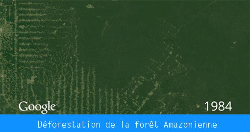 Timelapse - Déforestation de la forêt amazonienne